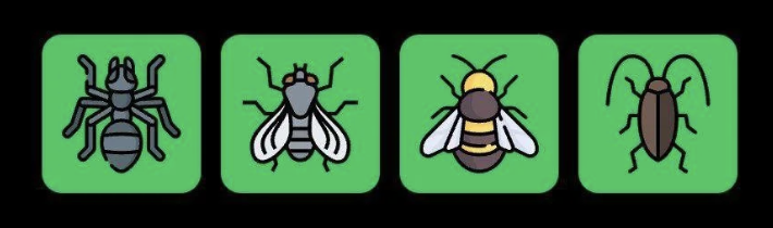 FLIES Daily Combo 28 May 2025